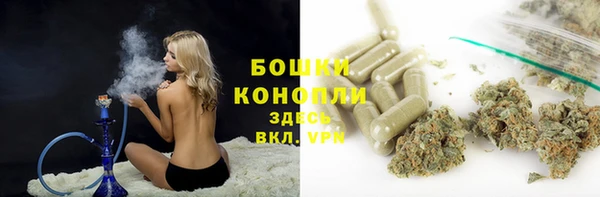 твердый Заводоуковск