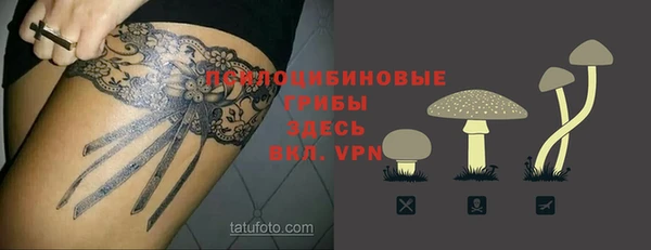 твердый Заводоуковск