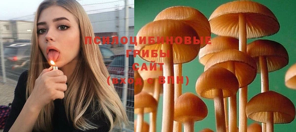 ешки Зерноград