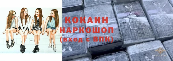 твердый Заводоуковск