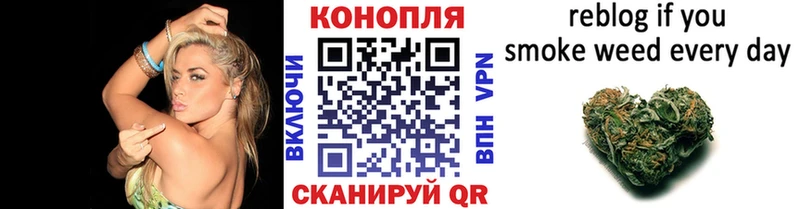 Купить  Пустошка  Канабис семена 